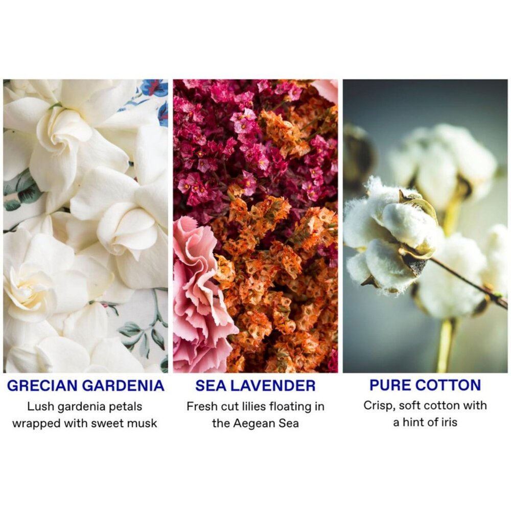 🔥🔥NEW in Box! 4 FREE Items! Korres 12-piece Cleanser & Body Butter Collection - Picture 6 of 9